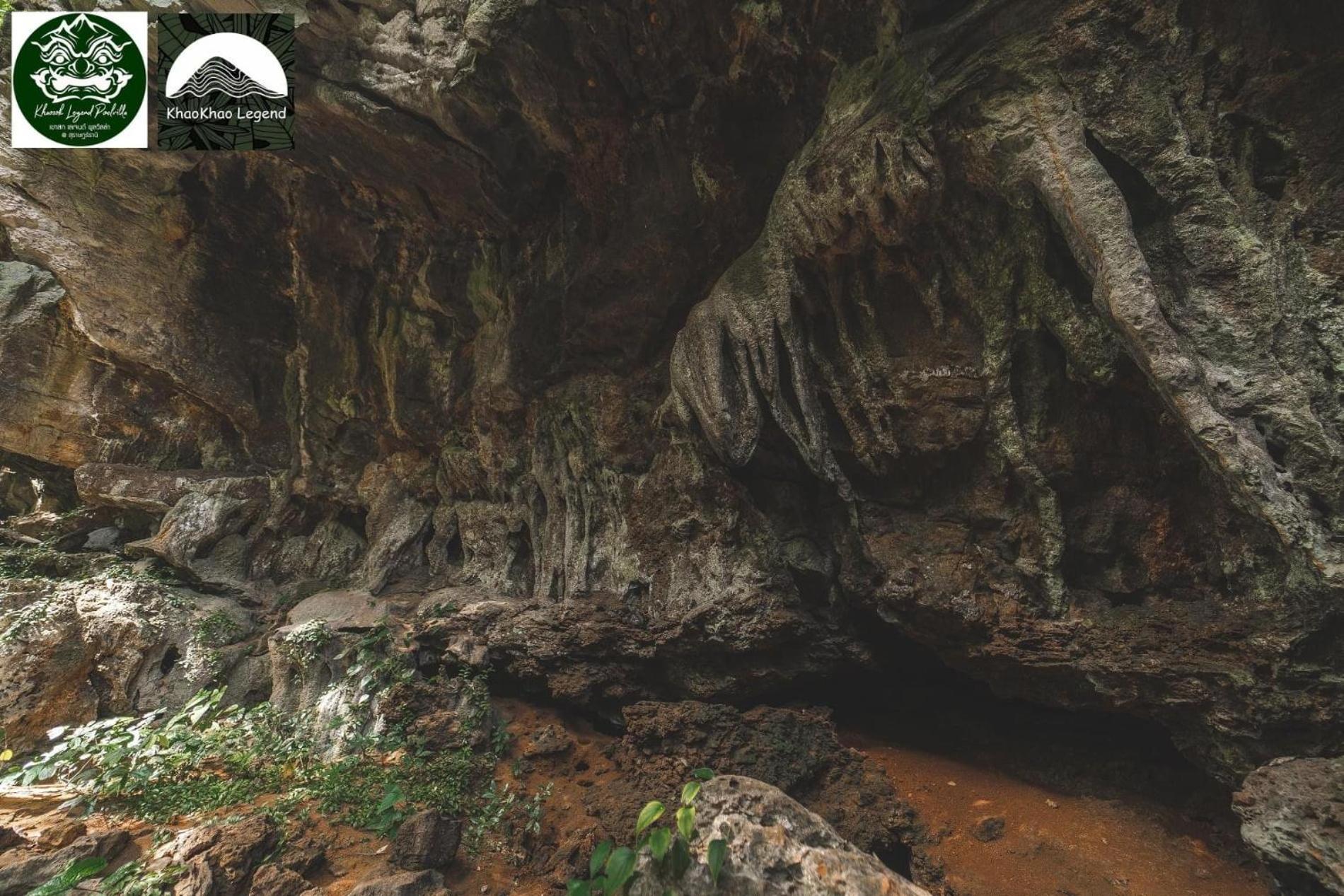 Khaosok Legend Khao Sok National Park